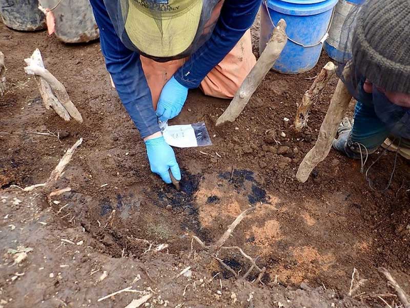 کشف فرش سه هزار ساله از جنس الیاف گیاهی در آلاسکا