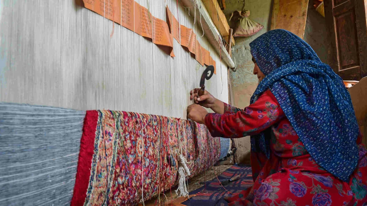 یک بافنده محلی در حال بافت قالی از روی نقشه کدگذاری شده - جامو و کشمیر