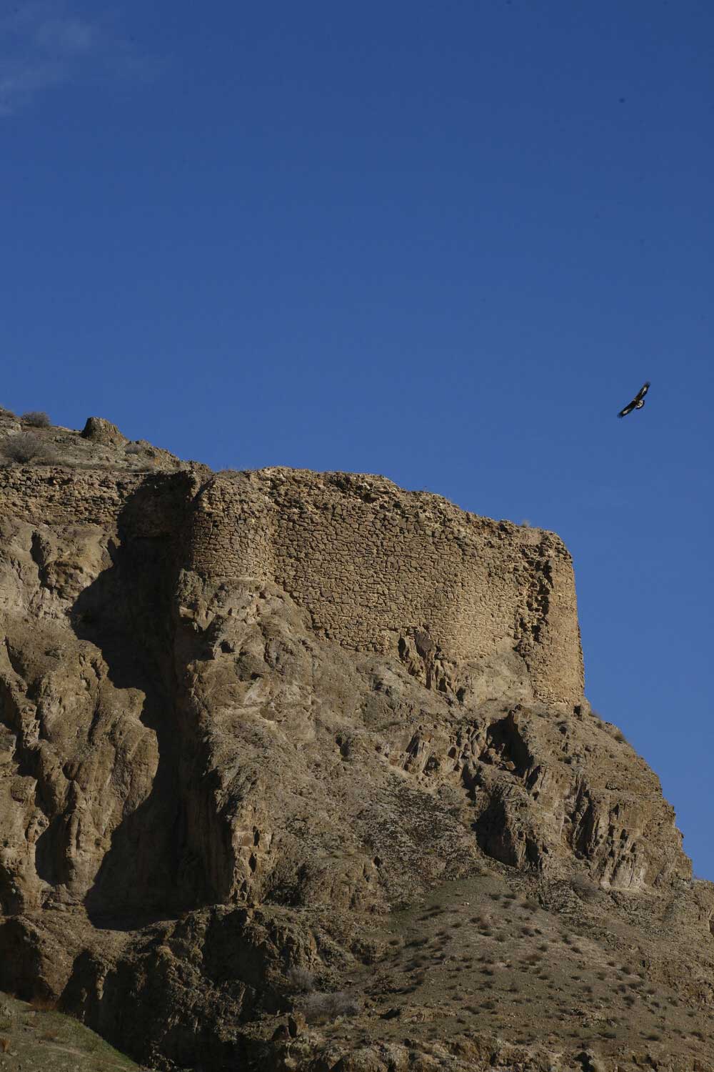 Alamut_Castel